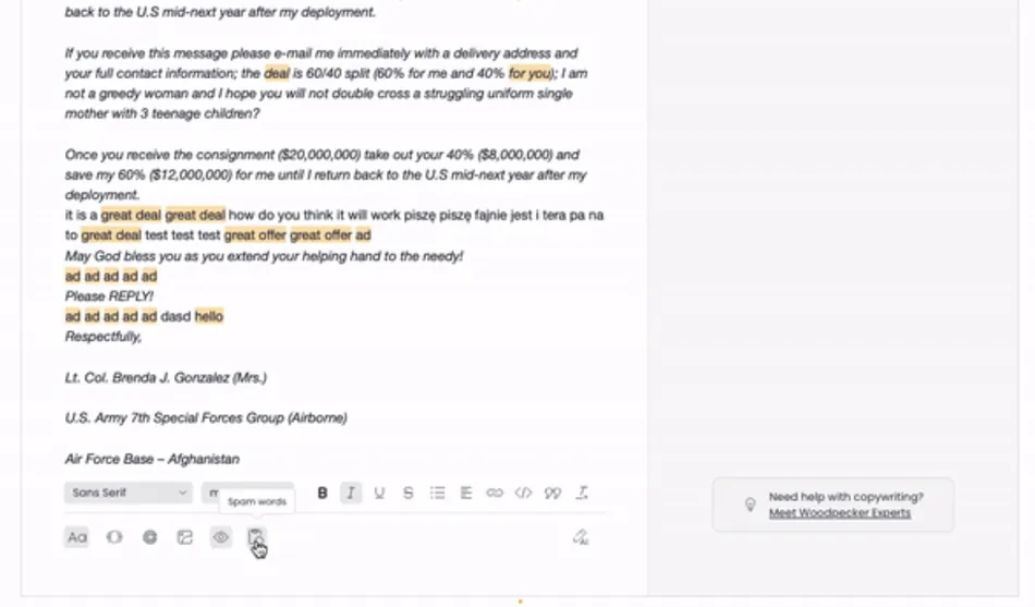 A screenshot of an email being composed in an editor, showing the text of the email and a toolbar below. The email content appears to be a scam or phishing attempt, containing highlighted phrases like great deal and spam words, and offers a large sum of money for assistance.