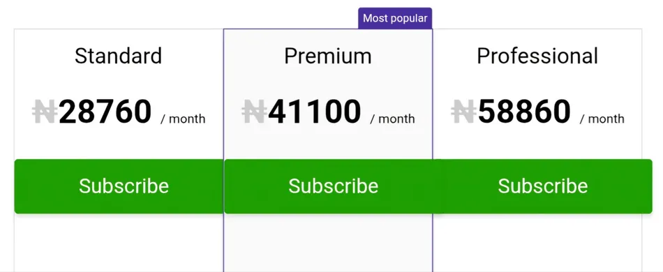 A screenshot displays a subscription pricing table with three options: Standard, Premium, and Professional. Standard is 28760 per month, Premium is 41100 per month and is labeled 'Most popular', and Professional is 58860 per month. Each option has a 'Subscribe' button below it.